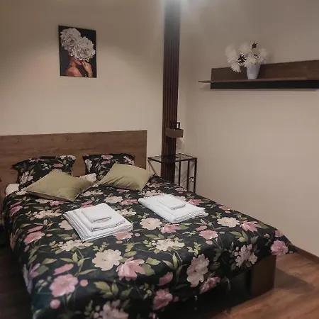 Centrum Rp Apartment Katowice