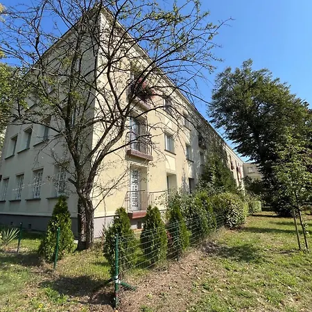 Centrum Rp * Katovice