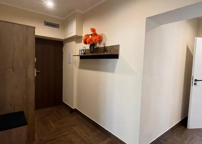 公寓 Centrum Rp 卡托维兹